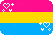 pansexual
