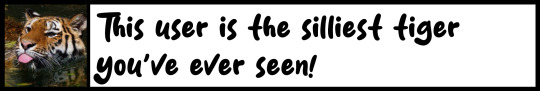 This user is the silliest tiger you've ever seen!